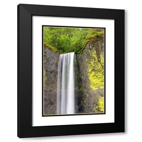 Latourell Falls Black Modern Wood Framed Art Print with Double Matting by Taylor, Douglas