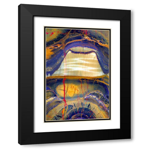 Tiger Eye Black Modern Wood Framed Art Print with Double Matting by Taylor, Douglas