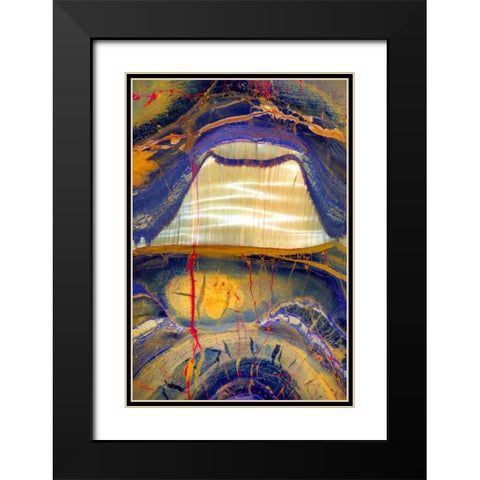 Tiger Eye Black Modern Wood Framed Art Print with Double Matting by Taylor, Douglas