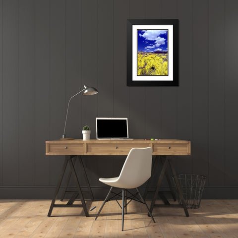 Palo Verde Bloom Black Modern Wood Framed Art Print with Double Matting by Taylor, Douglas