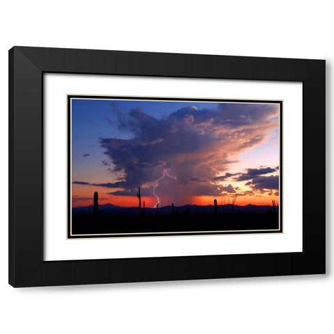 Twilight Lightning II Black Modern Wood Framed Art Print with Double Matting by Taylor, Douglas