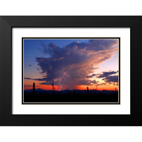 Twilight Lightning II Black Modern Wood Framed Art Print with Double Matting by Taylor, Douglas
