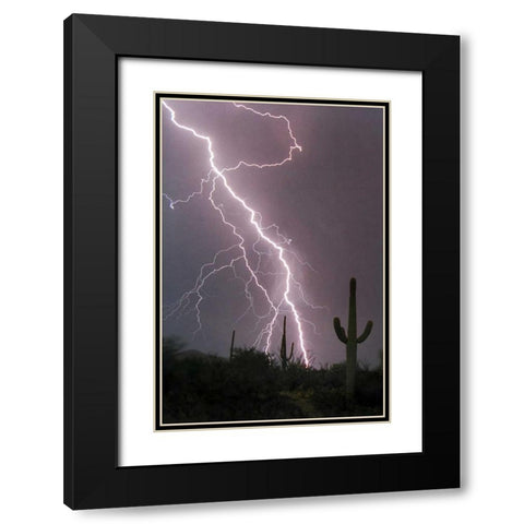 Fire and Rain Black Modern Wood Framed Art Print with Double Matting by Taylor, Douglas