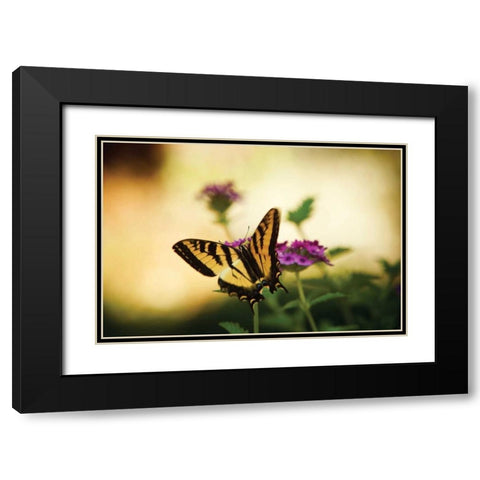 Garden Butterfly IV Black Modern Wood Framed Art Print with Double Matting by Clayton-Thompson, Philip