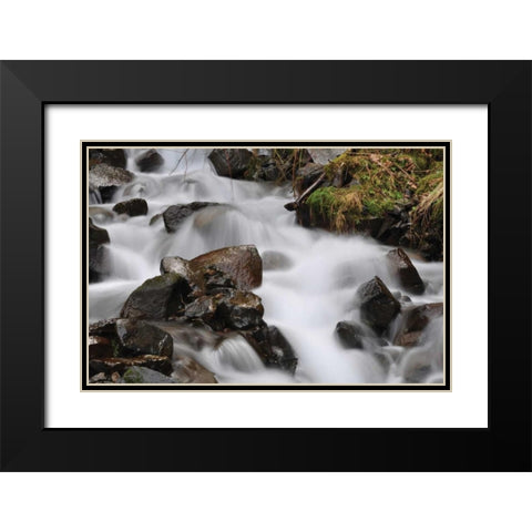 Stream Falls II Black Modern Wood Framed Art Print with Double Matting by Thomas, Logan