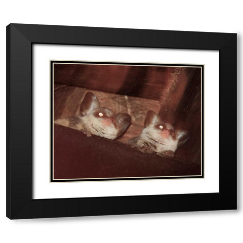 Bushbaby I Black Modern Wood Framed Art Print with Double Matting by Underdahl, Dana