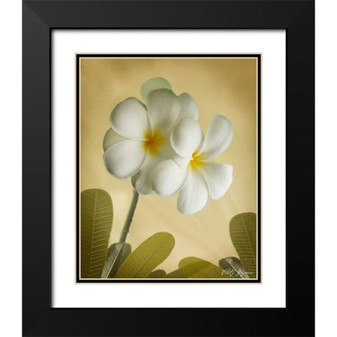 Oriental Plumeria I Black Modern Wood Framed Art Print with Double Matting by Geyman, Vitaly