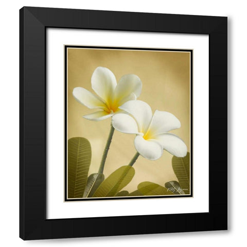 Oriental Plumeria II Black Modern Wood Framed Art Print with Double Matting by Geyman, Vitaly