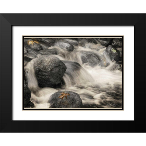Silver Falls I Black Modern Wood Framed Art Print with Double Matting by Geyman, Vitaly