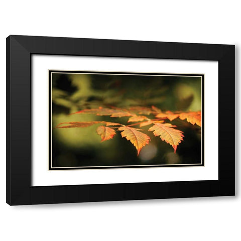Autumn Fire Leaves II Black Modern Wood Framed Art Print with Double Matting by Geyman, Vitaly