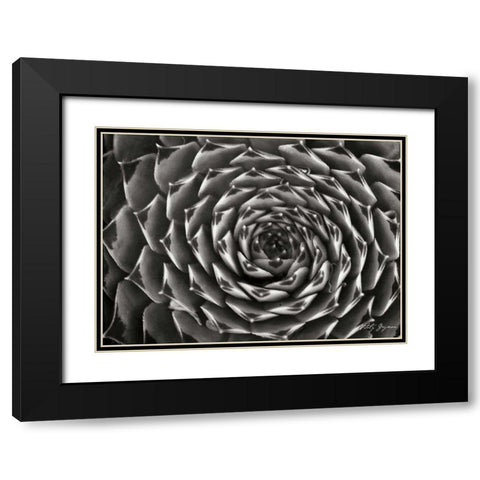Floral Labyrinth II Black Modern Wood Framed Art Print with Double Matting by Geyman, Vitaly