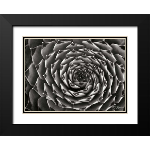 Floral Labyrinth II Black Modern Wood Framed Art Print with Double Matting by Geyman, Vitaly
