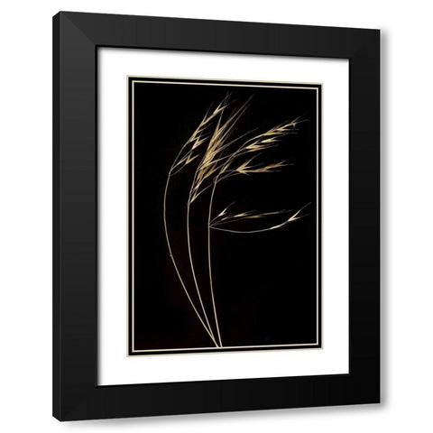 Grass Mosaic II Black Modern Wood Framed Art Print with Double Matting by Geyman, Vitaly