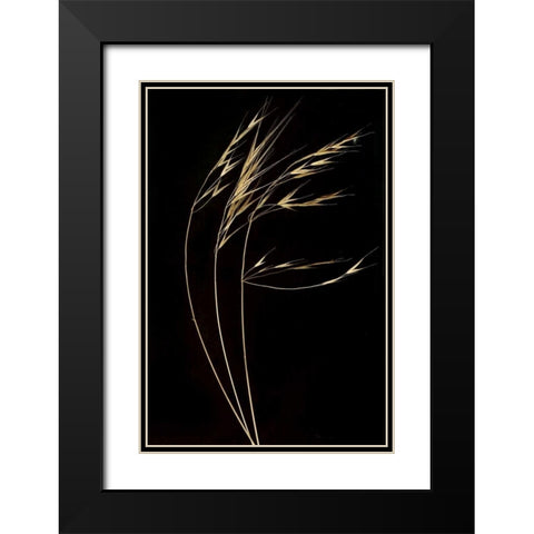 Grass Mosaic II Black Modern Wood Framed Art Print with Double Matting by Geyman, Vitaly