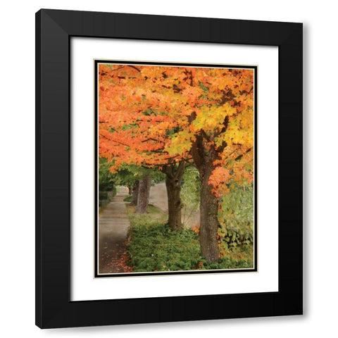 Fall Maple Fever II Black Modern Wood Framed Art Print with Double Matting by Geyman, Vitaly