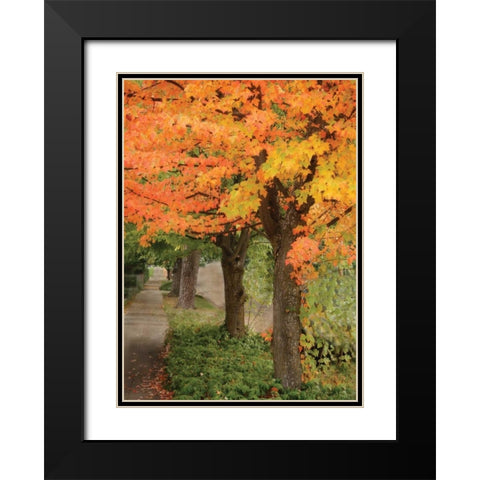 Fall Maple Fever II Black Modern Wood Framed Art Print with Double Matting by Geyman, Vitaly