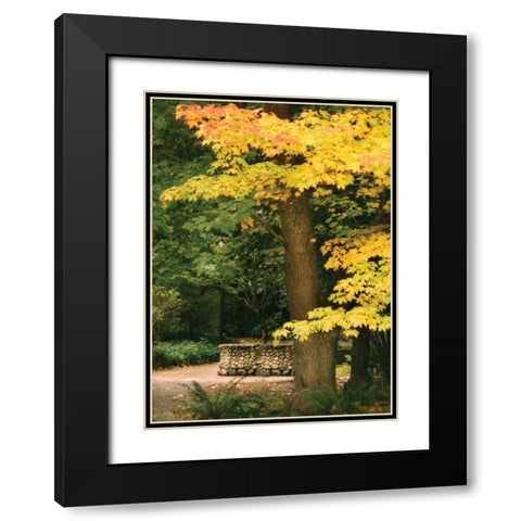 Fall Maple Fever XI Black Modern Wood Framed Art Print with Double Matting by Geyman, Vitaly