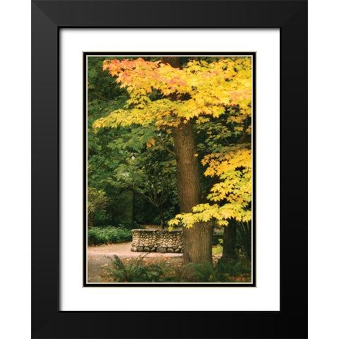 Fall Maple Fever XI Black Modern Wood Framed Art Print with Double Matting by Geyman, Vitaly