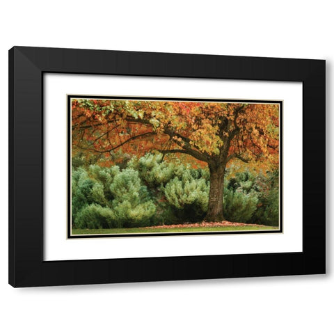 Ocean of Colors Black Modern Wood Framed Art Print with Double Matting by Geyman, Vitaly
