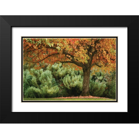 Ocean of Colors Black Modern Wood Framed Art Print with Double Matting by Geyman, Vitaly