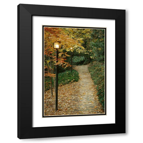 Autumn Path I Black Modern Wood Framed Art Print with Double Matting by Geyman, Vitaly