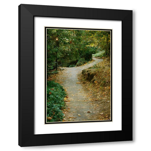 Autumn Path II Black Modern Wood Framed Art Print with Double Matting by Geyman, Vitaly