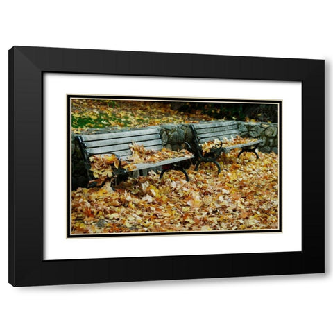 Autumn Paradise I Black Modern Wood Framed Art Print with Double Matting by Geyman, Vitaly