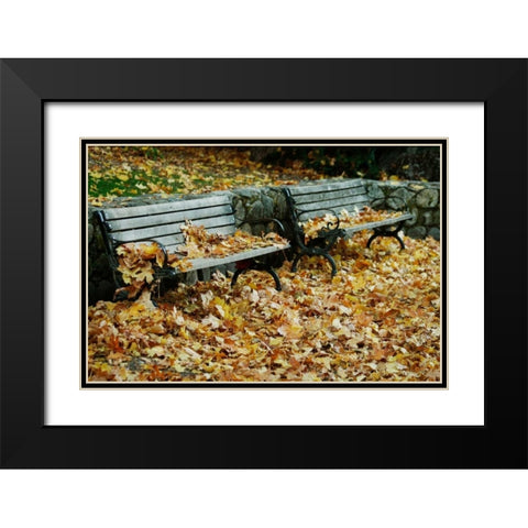 Autumn Paradise I Black Modern Wood Framed Art Print with Double Matting by Geyman, Vitaly