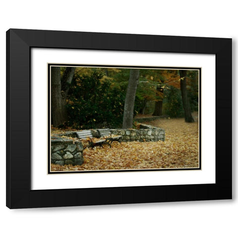 Autumn Paradise III Black Modern Wood Framed Art Print with Double Matting by Geyman, Vitaly