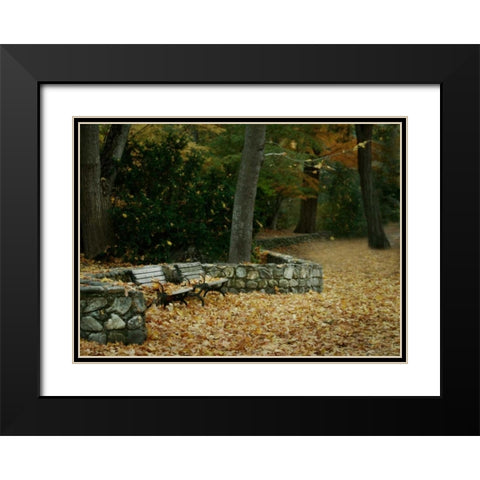 Autumn Paradise III Black Modern Wood Framed Art Print with Double Matting by Geyman, Vitaly