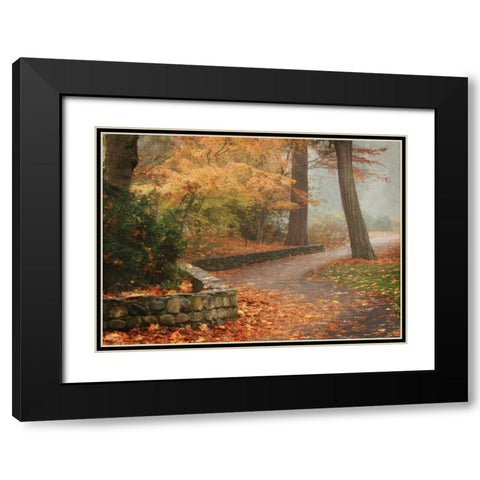 Autumn Paradise IV Black Modern Wood Framed Art Print with Double Matting by Geyman, Vitaly