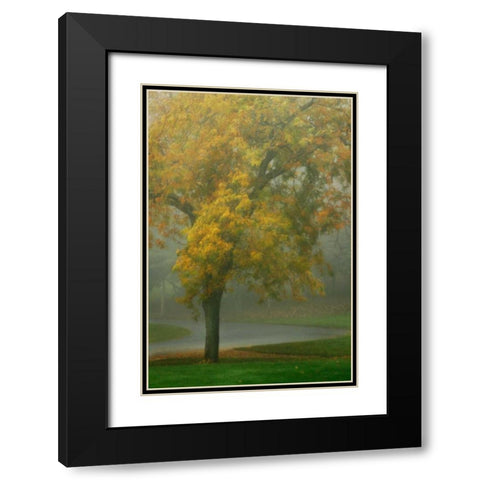 Colors in the Mist V Black Modern Wood Framed Art Print with Double Matting by Geyman, Vitaly