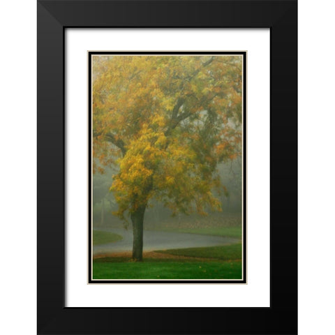 Colors in the Mist V Black Modern Wood Framed Art Print with Double Matting by Geyman, Vitaly