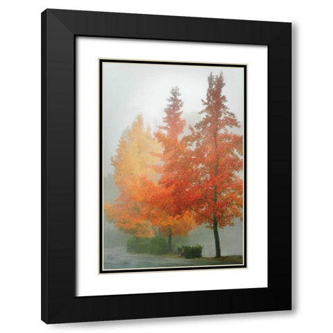 Colors in the Mist I Black Modern Wood Framed Art Print with Double Matting by Geyman, Vitaly