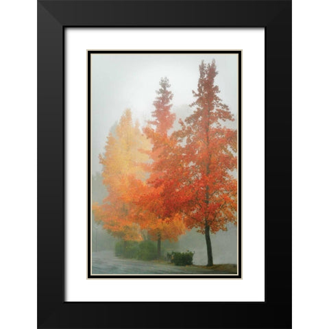 Colors in the Mist I Black Modern Wood Framed Art Print with Double Matting by Geyman, Vitaly