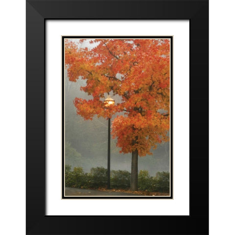 Colors in the Mist II Black Modern Wood Framed Art Print with Double Matting by Geyman, Vitaly