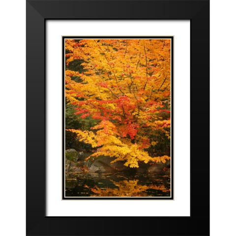 Fall Bouquet I Black Modern Wood Framed Art Print with Double Matting by Geyman, Vitaly