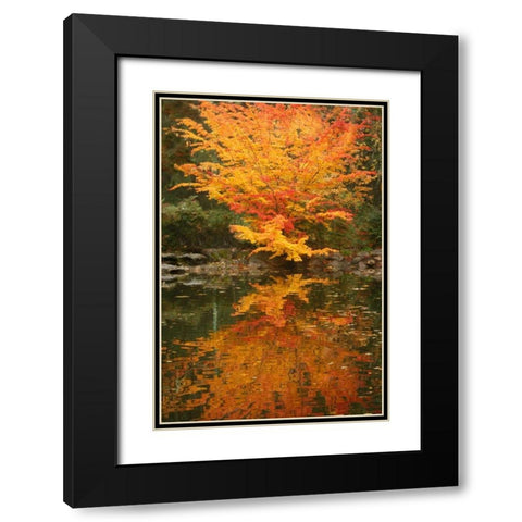 Fall Bouquet II Black Modern Wood Framed Art Print with Double Matting by Geyman, Vitaly