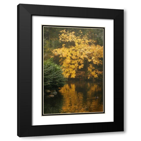 Autumn Reflections I Black Modern Wood Framed Art Print with Double Matting by Geyman, Vitaly