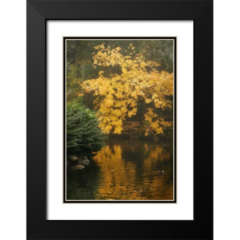 Autumn Reflections I Black Modern Wood Framed Art Print with Double Matting by Geyman, Vitaly