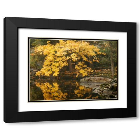 Autumn Reflections II Black Modern Wood Framed Art Print with Double Matting by Geyman, Vitaly