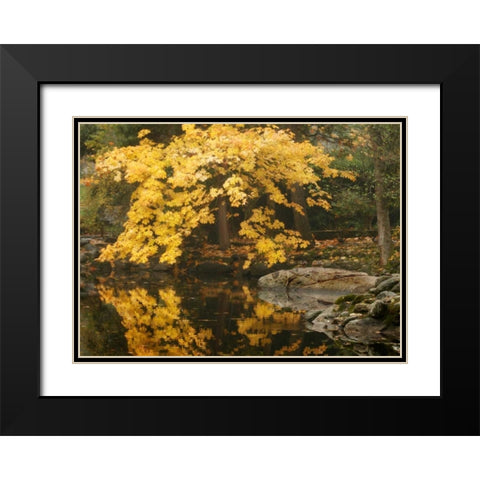 Autumn Reflections II Black Modern Wood Framed Art Print with Double Matting by Geyman, Vitaly