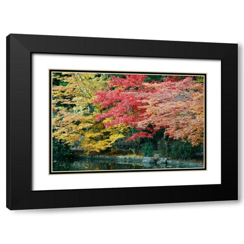 Autumn Trio I Black Modern Wood Framed Art Print with Double Matting by Geyman, Vitaly