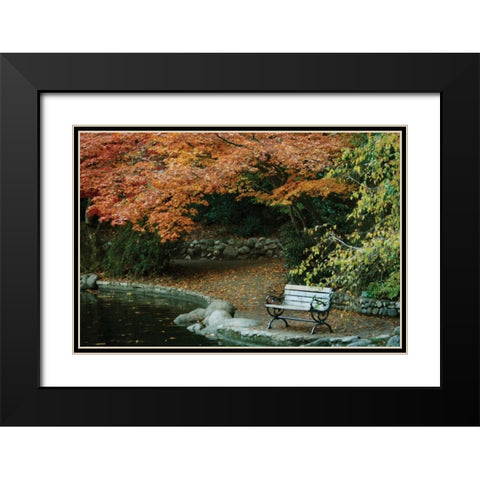 Autumn Trio II Black Modern Wood Framed Art Print with Double Matting by Geyman, Vitaly