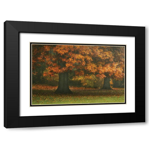 Red Oak Duo I Black Modern Wood Framed Art Print with Double Matting by Geyman, Vitaly