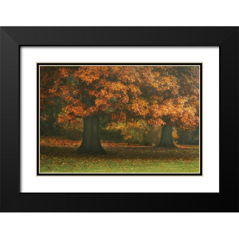 Red Oak Duo I Black Modern Wood Framed Art Print with Double Matting by Geyman, Vitaly