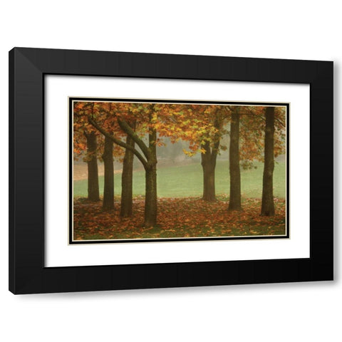 Colors in the Mist VII Black Modern Wood Framed Art Print with Double Matting by Geyman, Vitaly