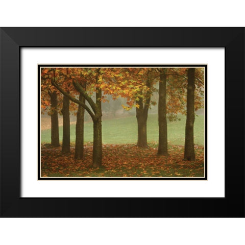Colors in the Mist VII Black Modern Wood Framed Art Print with Double Matting by Geyman, Vitaly