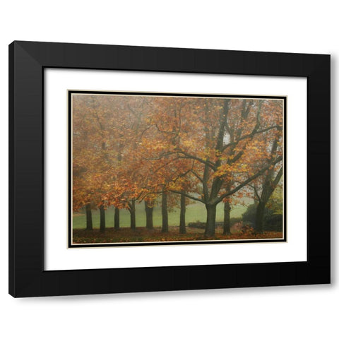 Colors in the Mist VIII Black Modern Wood Framed Art Print with Double Matting by Geyman, Vitaly