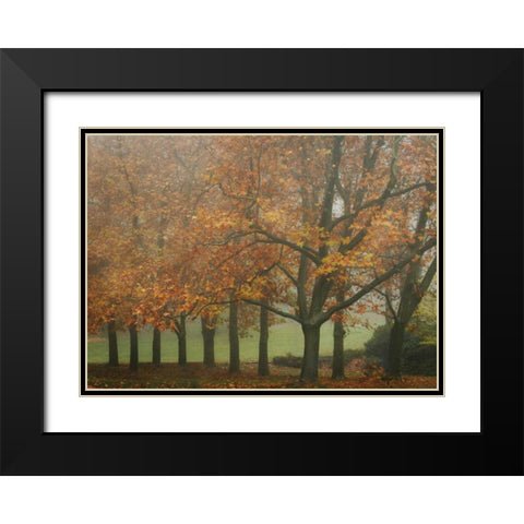 Colors in the Mist VIII Black Modern Wood Framed Art Print with Double Matting by Geyman, Vitaly